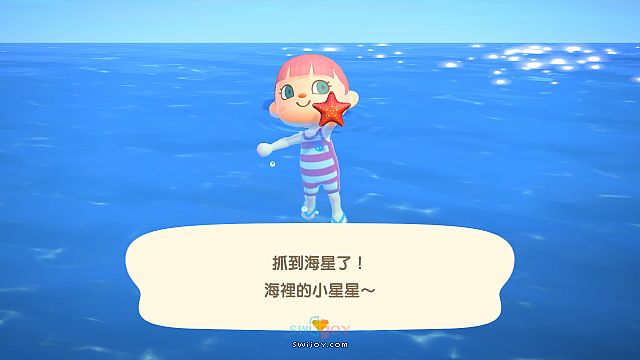水饺思维奇 SWIJOY