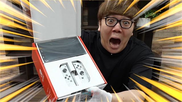 水饺思维奇 SWIJOY