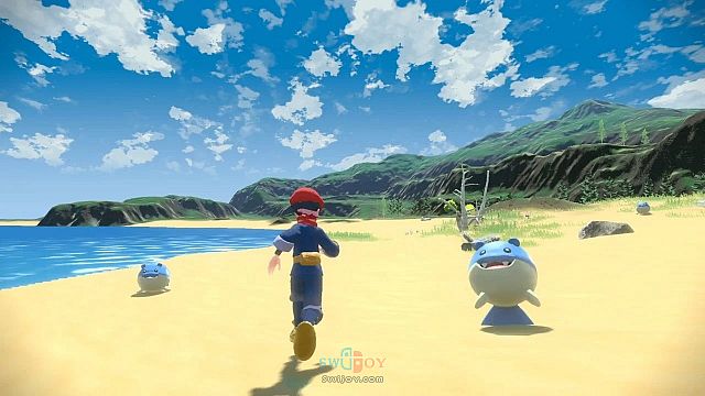 水饺思维奇 SWIJOY