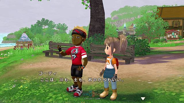 Switch《牧场物语：美丽人生》结婚新候选对象情报公开