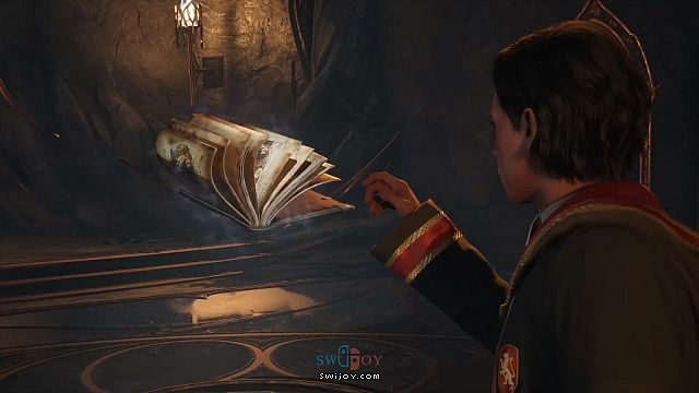 水饺思维奇 SWIJOY