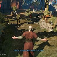 Switch《巫师3》画面惨不忍睹