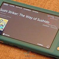 Switch Lite已被破解 可运行任天堂独占游戏