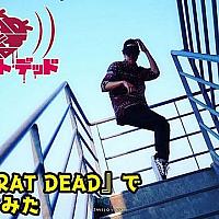 Switch《狂鼠之死》最新宣传视频公布