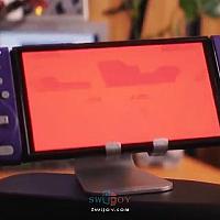 Switch OLED烧屏测试最新结果公布
