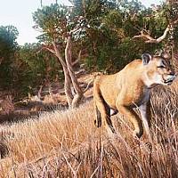 第一人称射击游戏《模拟狩猎》将登陆任天堂Switch平台