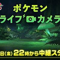 Switch《精灵宝可梦：剑/盾》将于10月4日开启24小时无间断直播