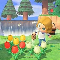 Switch《动物之森：新地平线》玩法讲解电视广告公布